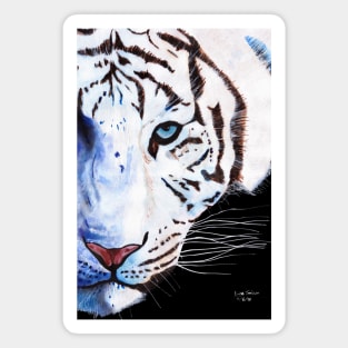 White Tiger Magnet